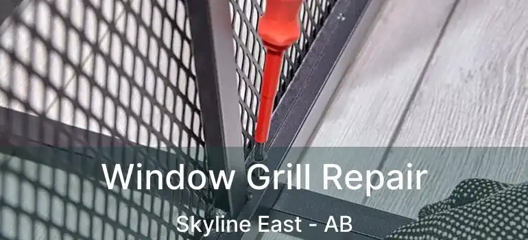  Window Grill Repair Skyline East - AB
