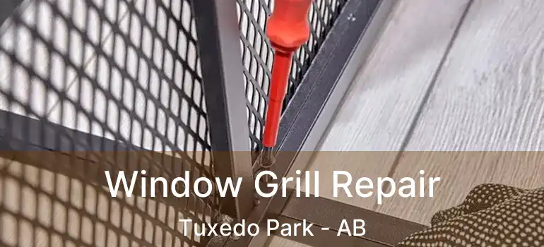  Window Grill Repair Tuxedo Park - AB