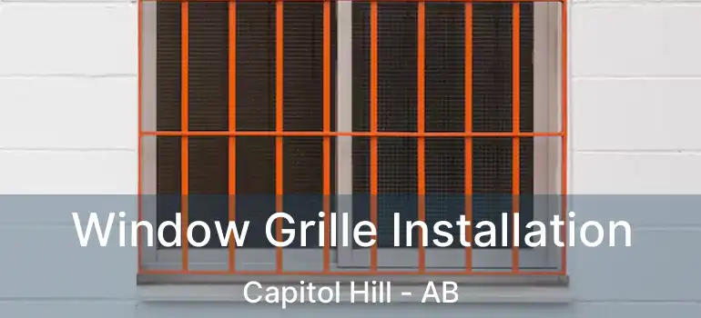  Window Grille Installation Capitol Hill - AB