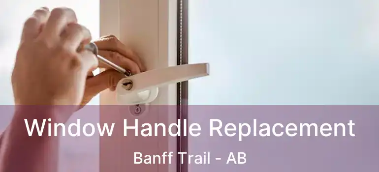  Window Handle Replacement Banff Trail - AB