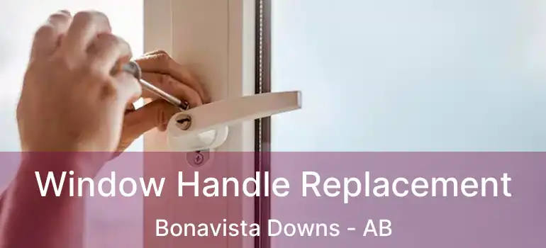  Window Handle Replacement Bonavista Downs - AB