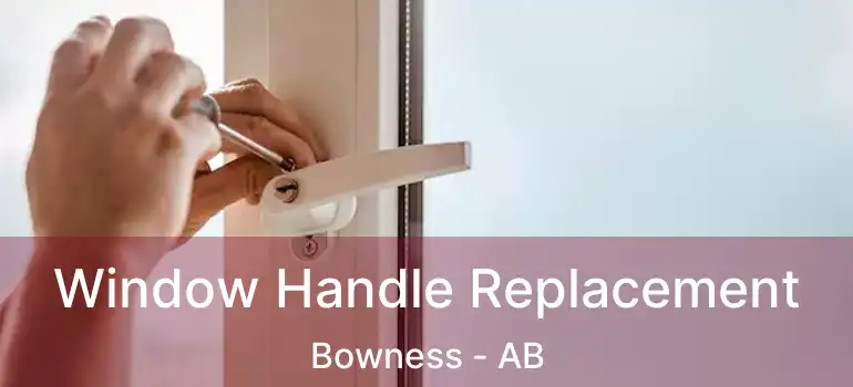  Window Handle Replacement Bowness - AB