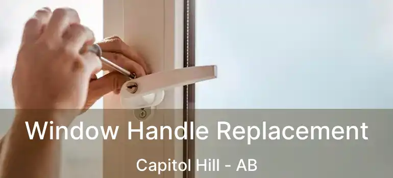  Window Handle Replacement Capitol Hill - AB