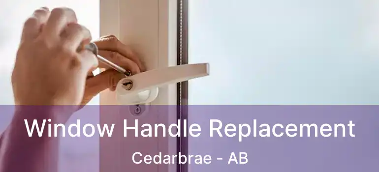  Window Handle Replacement Cedarbrae - AB