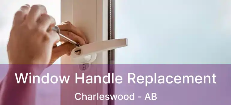  Window Handle Replacement Charleswood - AB