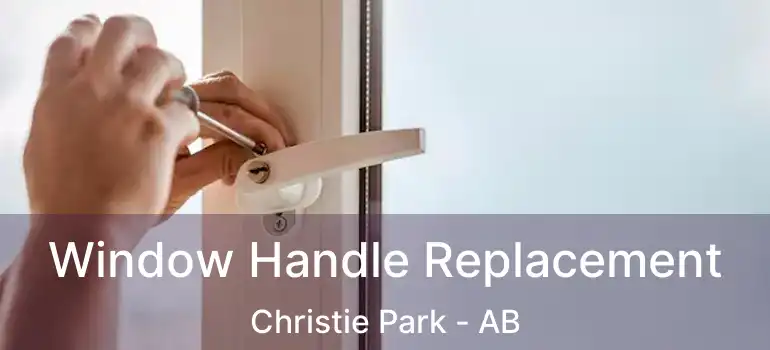  Window Handle Replacement Christie Park - AB