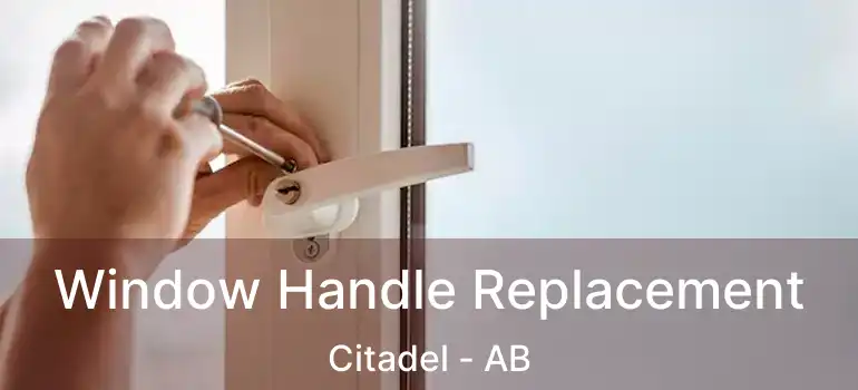  Window Handle Replacement Citadel - AB