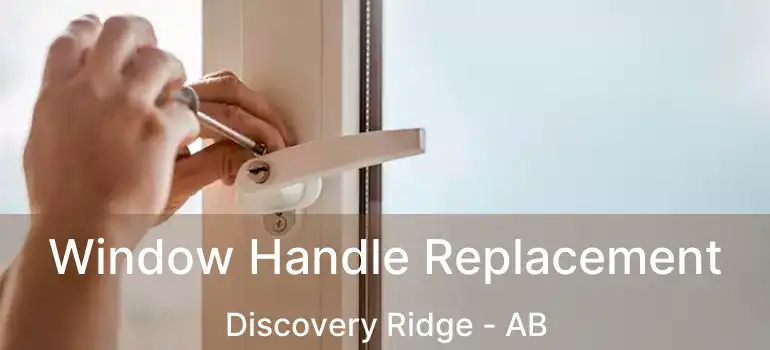  Window Handle Replacement Discovery Ridge - AB