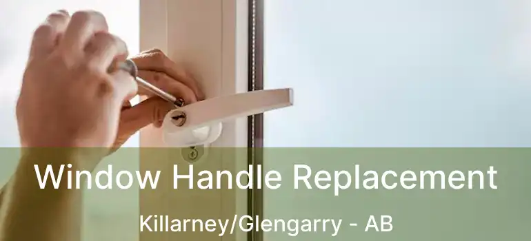  Window Handle Replacement Killarney/Glengarry - AB
