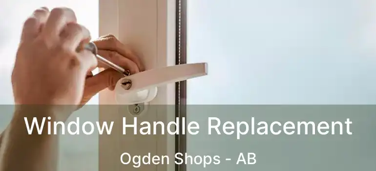  Window Handle Replacement Ogden Shops - AB
