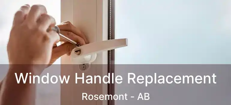  Window Handle Replacement Rosemont - AB