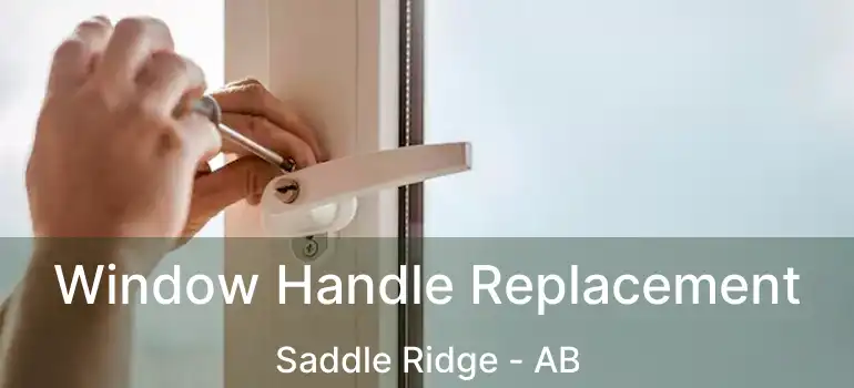  Window Handle Replacement Saddle Ridge - AB