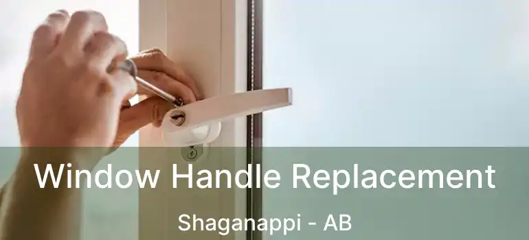  Window Handle Replacement Shaganappi - AB