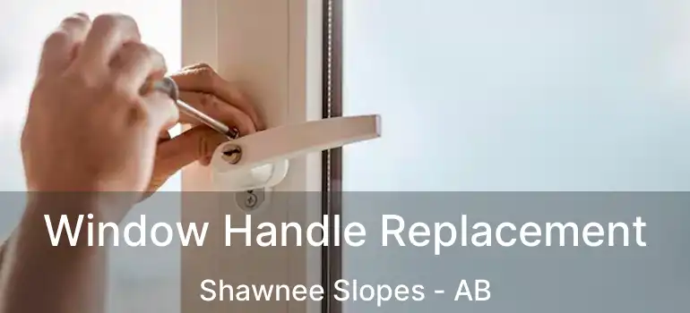  Window Handle Replacement Shawnee Slopes - AB
