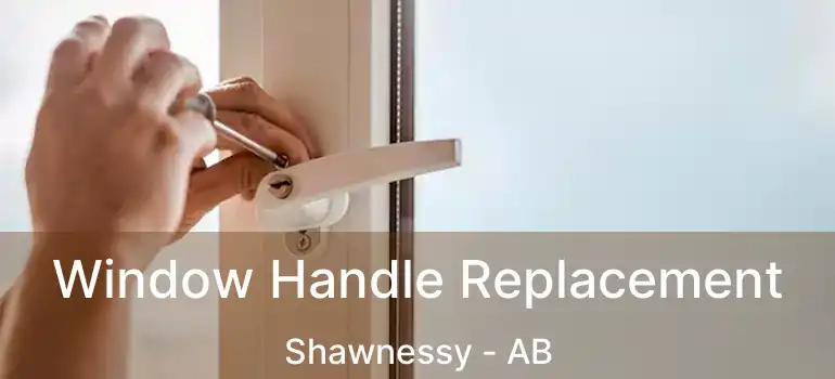  Window Handle Replacement Shawnessy - AB