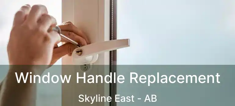  Window Handle Replacement Skyline East - AB