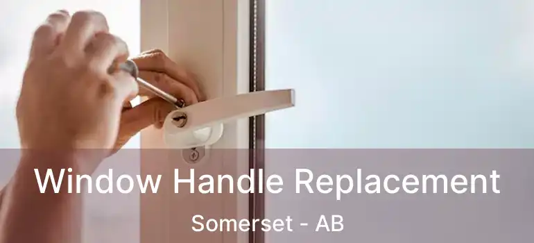 Window Handle Replacement Somerset - AB