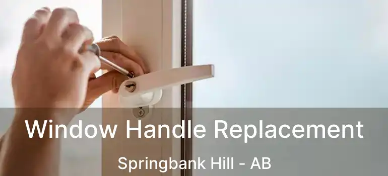  Window Handle Replacement Springbank Hill - AB