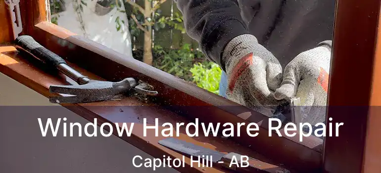  Window Hardware Repair Capitol Hill - AB