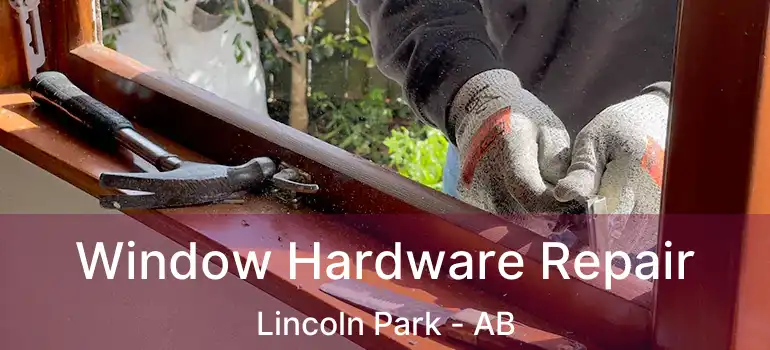  Window Hardware Repair Lincoln Park - AB