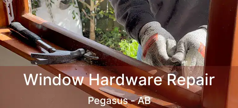  Window Hardware Repair Pegasus - AB