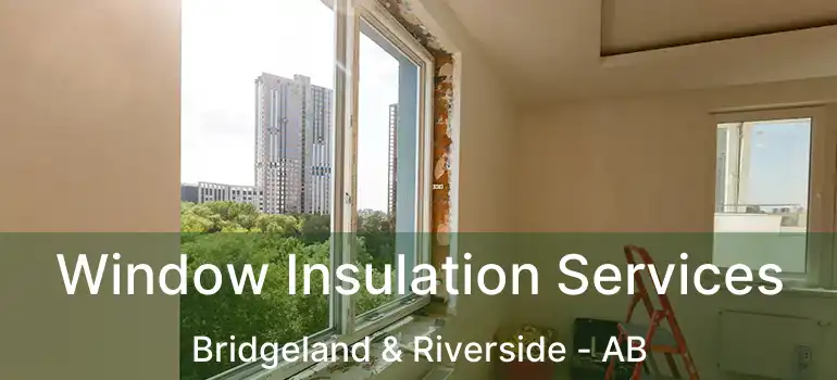  Window Insulation Services Bridgeland & Riverside - AB