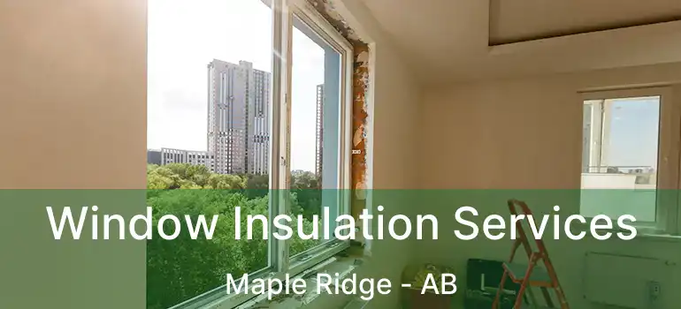  Window Insulation Services Maple Ridge - AB