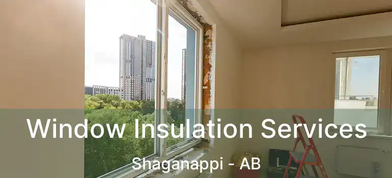  Window Insulation Services Shaganappi - AB