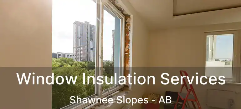  Window Insulation Services Shawnee Slopes - AB