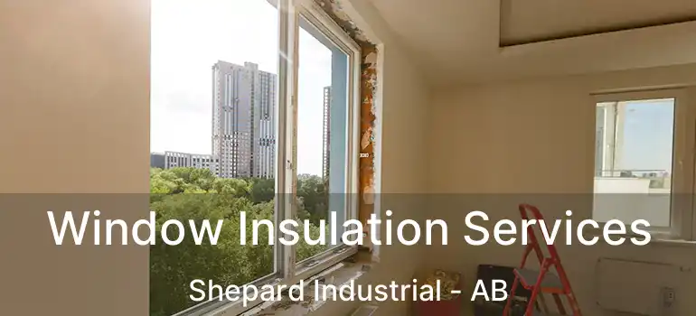  Window Insulation Services Shepard Industrial - AB