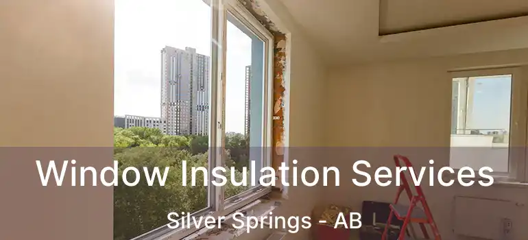  Window Insulation Services Silver Springs - AB