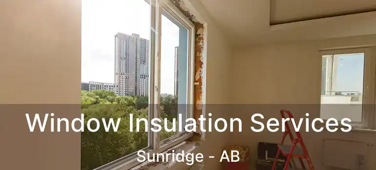  Window Insulation Services Sunridge - AB