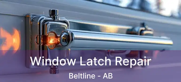  Window Latch Repair Beltline - AB