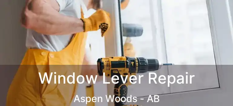  Window Lever Repair Aspen Woods - AB