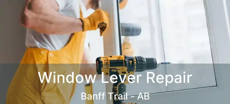  Window Lever Repair Banff Trail - AB