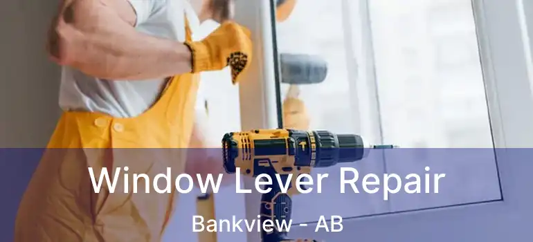  Window Lever Repair Bankview - AB