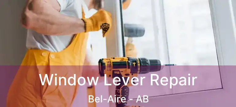  Window Lever Repair Bel-Aire - AB