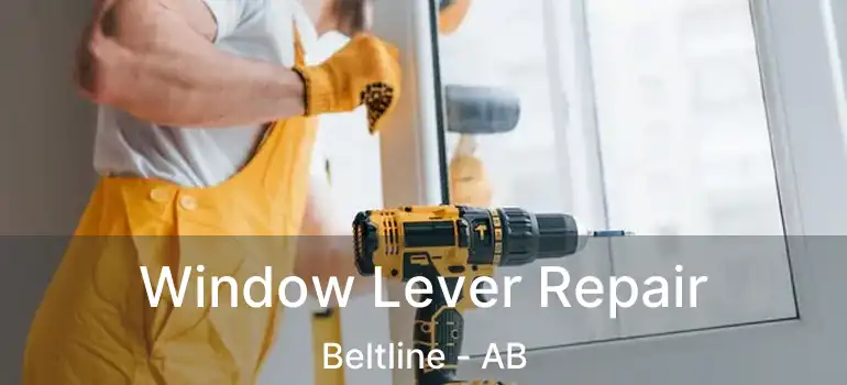  Window Lever Repair Beltline - AB