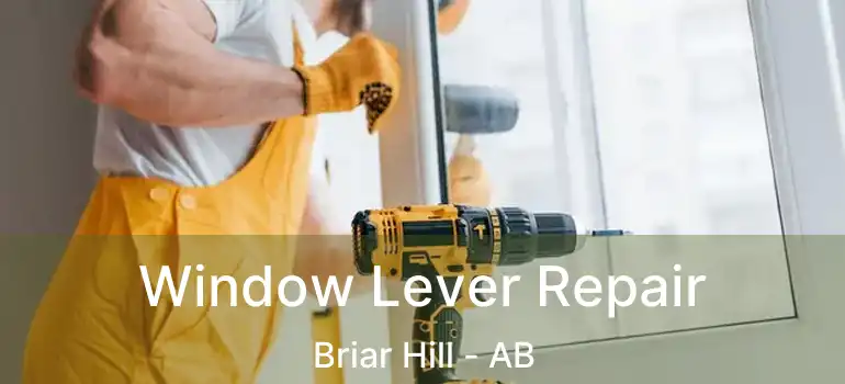  Window Lever Repair Briar Hill - AB