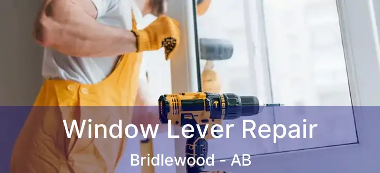  Window Lever Repair Bridlewood - AB