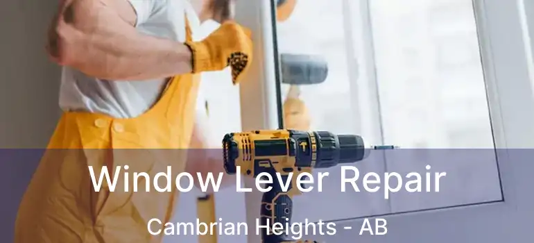  Window Lever Repair Cambrian Heights - AB