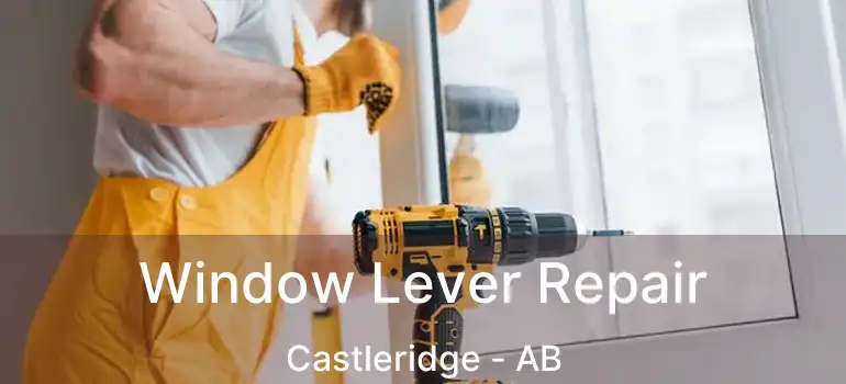  Window Lever Repair Castleridge - AB