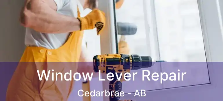  Window Lever Repair Cedarbrae - AB