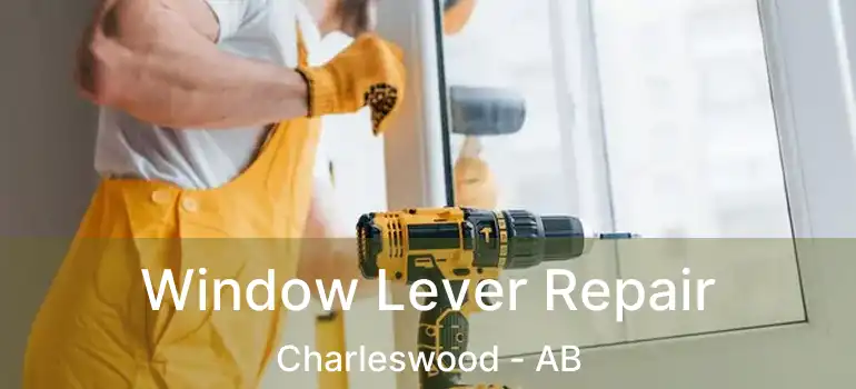  Window Lever Repair Charleswood - AB