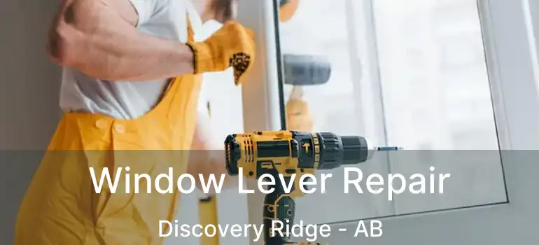  Window Lever Repair Discovery Ridge - AB