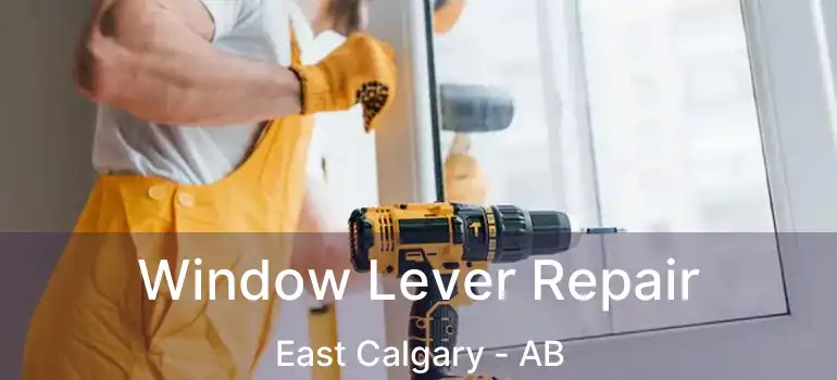  Window Lever Repair East Calgary - AB