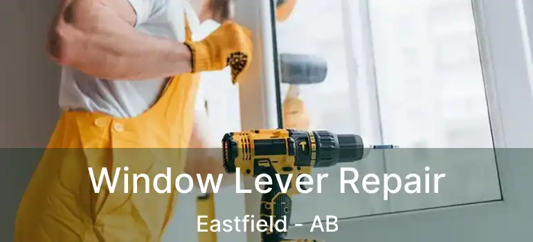  Window Lever Repair Eastfield - AB