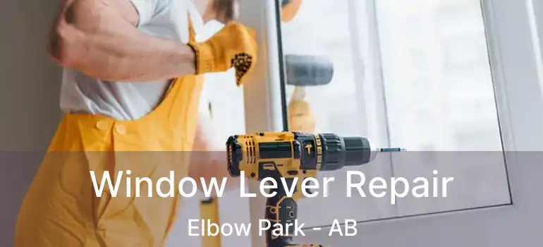  Window Lever Repair Elbow Park - AB