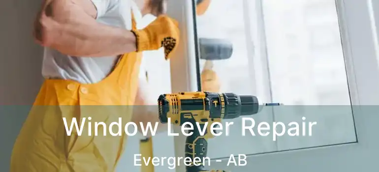  Window Lever Repair Evergreen - AB