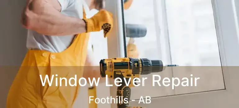  Window Lever Repair Foothills - AB